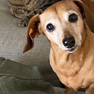 Meet your Posher, Tamara